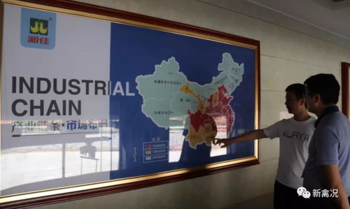 國雞侶行丨湘佳牧業(yè) 兩大秘訣實(shí)現(xiàn)生鮮國雞銷售9億元